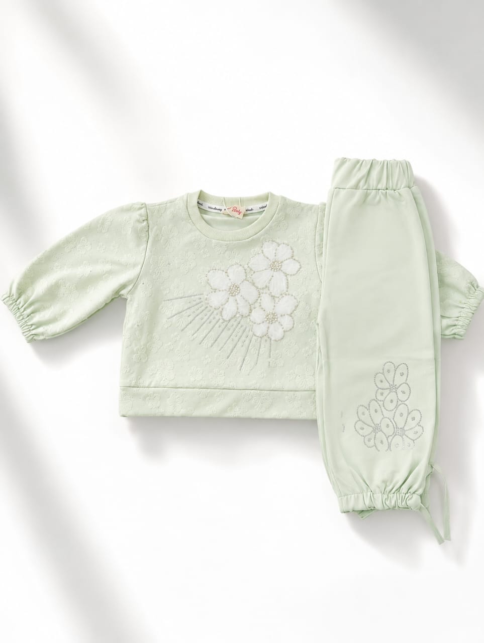 Baby Girl 2-Piece Sweatshirt & Sweatpants Tracksuit Set