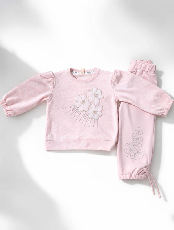 Baby Girl 2-Piece Sweatshirt & Sweatpants Tracksuit Set